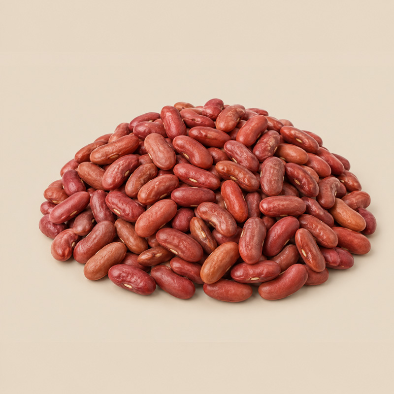 Light red kidney beans